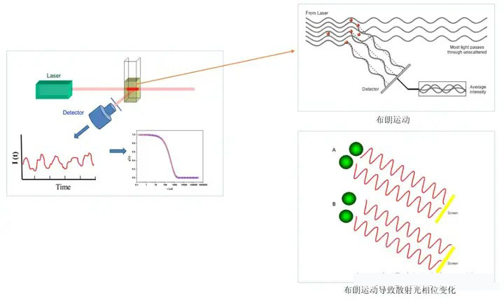 动态光散射技术的原理与应用(图1)