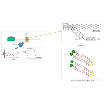 动态光散射技术的原理与应用